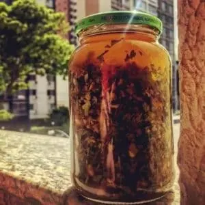 remedio natural para la sangre